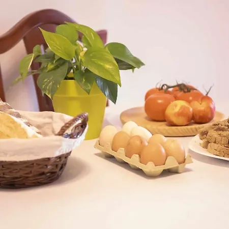 Pensionat Canary Bio Tenerife Los Realejos