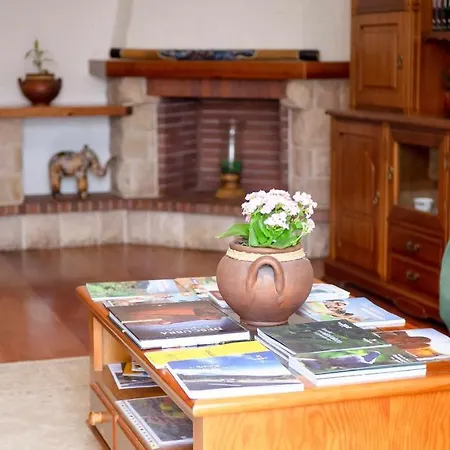 Canary Bio Tenerife Penzion