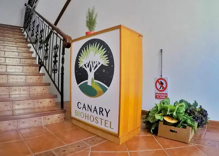 Canary Bio Tenerife * 洛斯雷尔雷赫斯